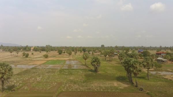 Irrigation of rice paddies © F. Tivet, CIRAD